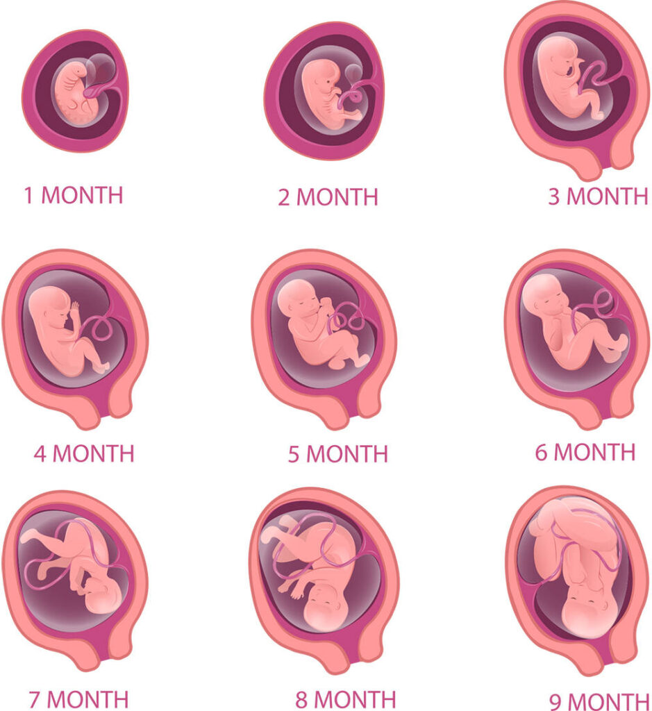 Prenatal - Sound Therapy International