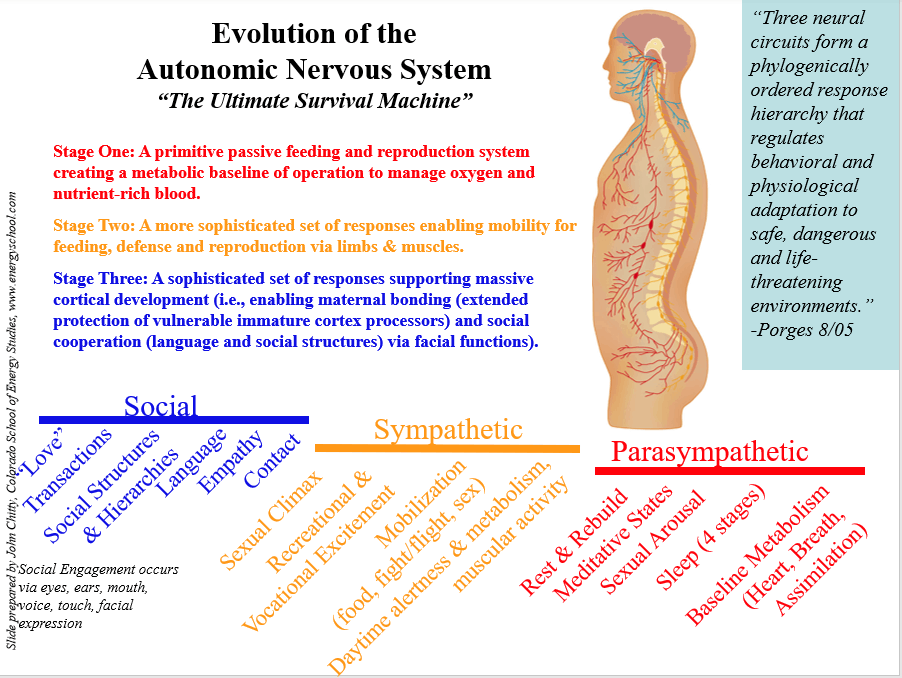 Rehabilitating the Nervous System with Sound Therapy Sound Therapy