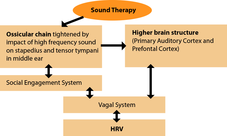 HRV chart