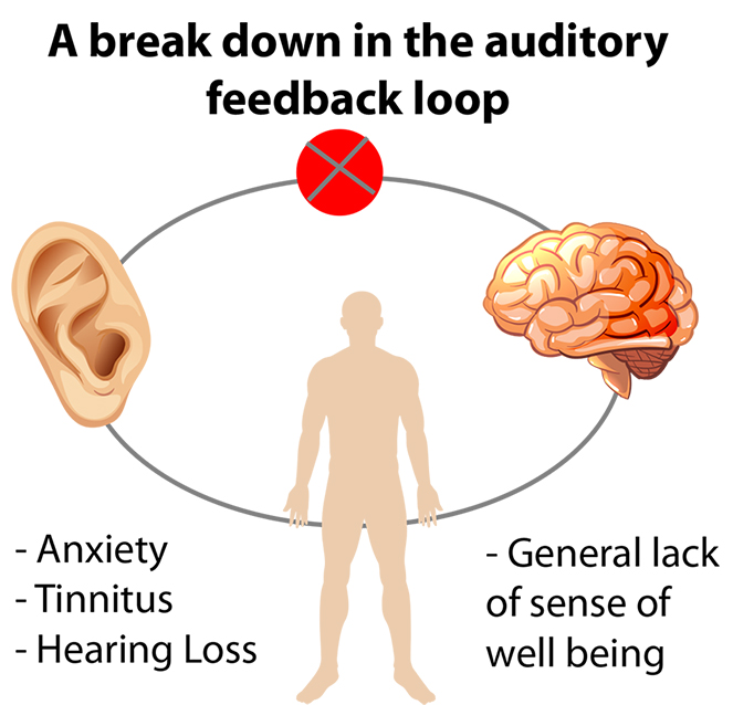 body-ear-brain-loop